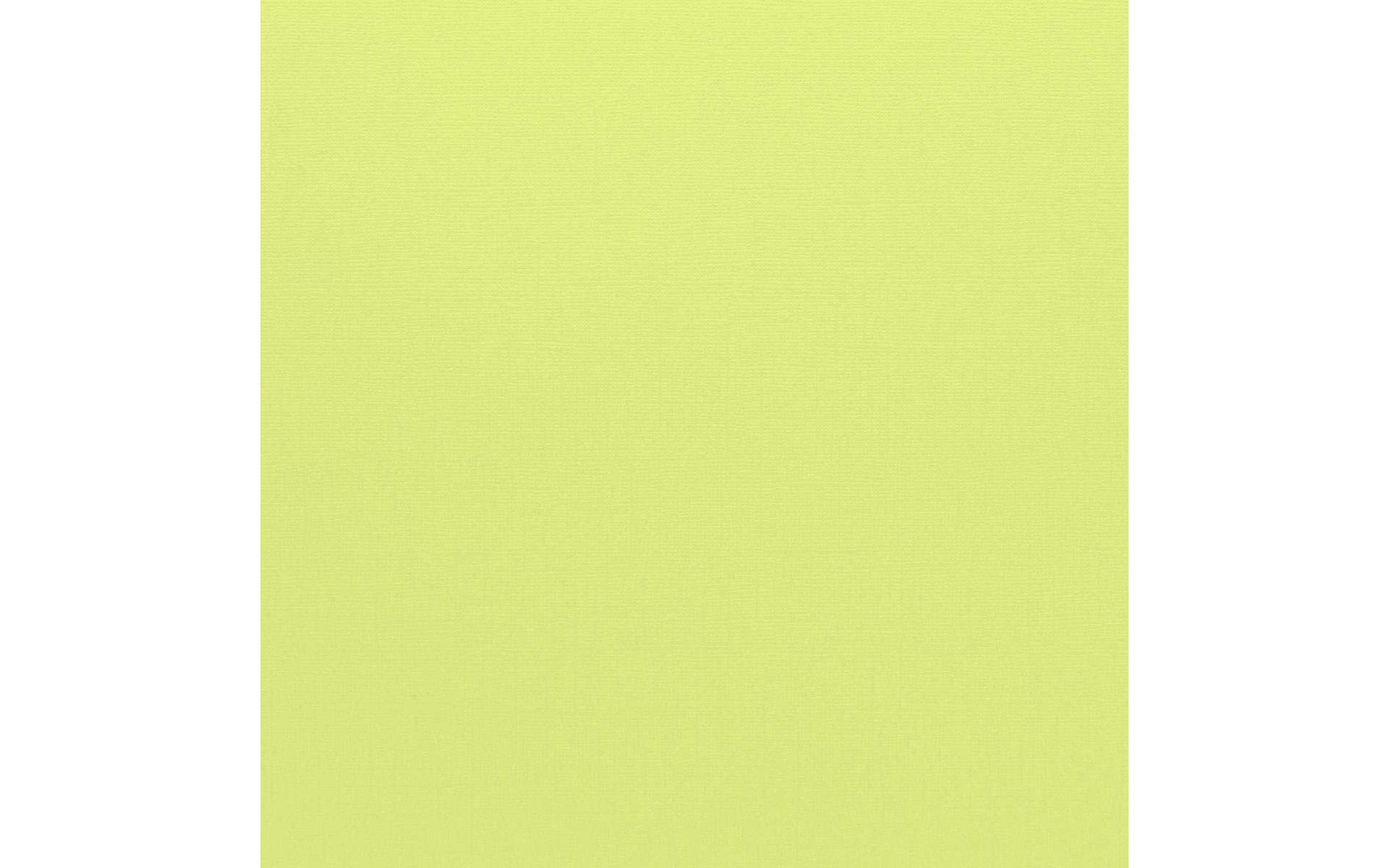 Bazzill Basics Paper 25 ScrapBooking Sheets Canvas Texture, Limeade