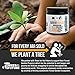 Clay Powder DIY Herbal Cleansing Face Mask | Natural Ayurvedic Organic Turmeric | Clears Pores, Brightens Smoothens Skin | Healing Mud Body, Hair and Facial Mask | Anti-Aging Secret Indian Clay Mask