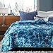 Chanasya Premium Wolf Faux Fur Throw Blanket - Soft, Fuzzy Sherpa & Minky Throw Blanket - for Bed or Couch - 50