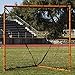 Champion Sports Backyard Lacrosse Goal Official Size Goal with Net - 6' x 6'