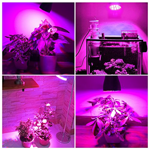 4 Spectrum+Hydroponic+Succulent+Vegetable+Seedling
