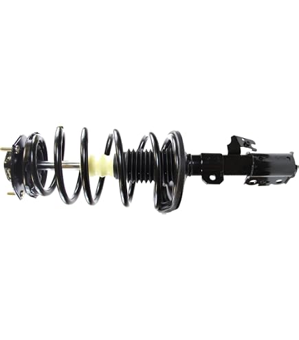 Amazon.com: Monroe Quick-Strut 272489 Suspension Strut and Coil