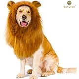 SunGrow Lion Mane Wig with Ears - Photo Prop, fancy costume for large Dogs & Cats - Perfect Lion Hat for Halloween & Cosplay Parties - Realistic, Funny, Cute Headgear - Adorable Gift for Pet Lovers