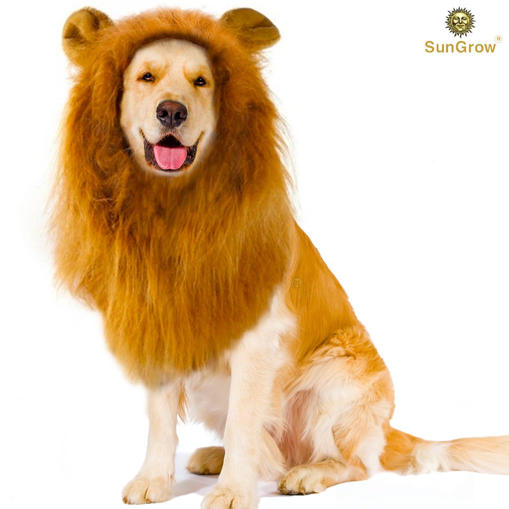 SunGrow Lion Mane Costume with Ears for Big Dogs & Cats: Get your pet dressed up in the cute adorable mane ever! Perfect for Halloween & Costume Parties