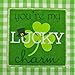 DII Celebrate St. Patrick's Day Kitchen Collection, St. Patty's Day, Dishtowel Set