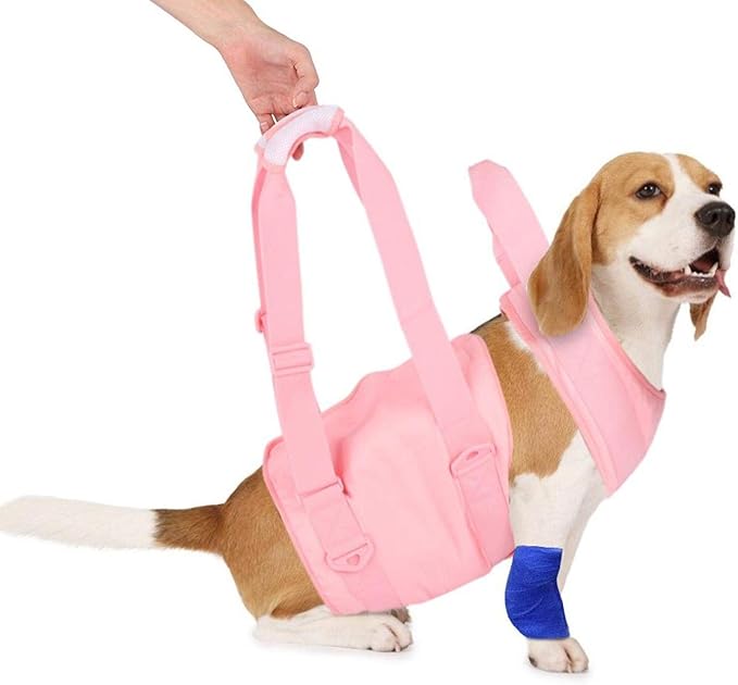 Dog Rehabilitation Sling, Convenient Breathable Practical Dog Walking