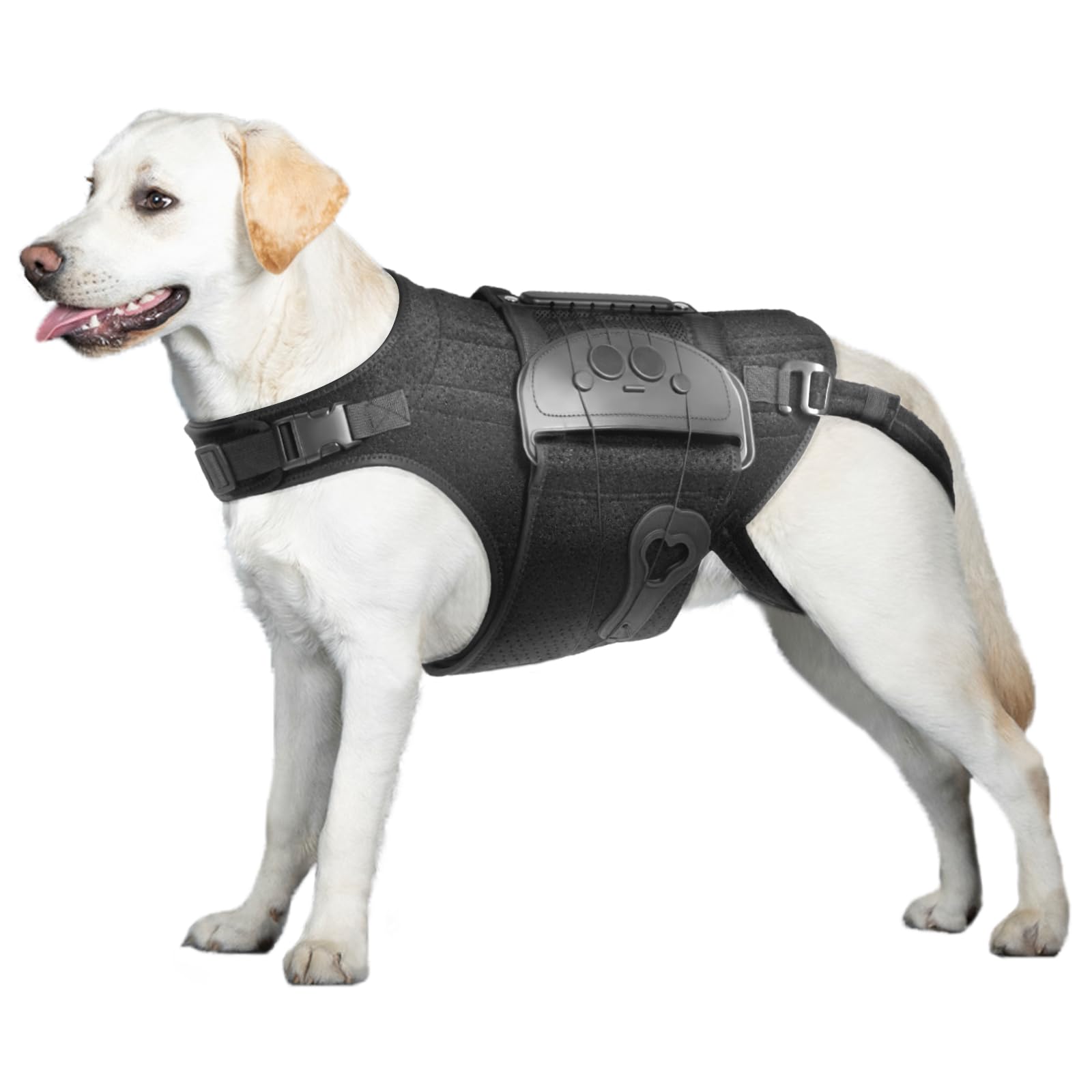 Photo 1 of Dog Back Brace for IVDD, Arthritis, Slipped and Herniated Discs – Provides Back Support and Pain Relief, Stabilizes Spine for Surgical Recovery and Mobility, Dogs Back Disease Prevention(Black,L)