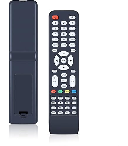 Amazon.com: Snrigw Replacement Remote Control for GPX TV