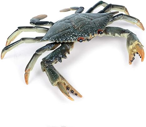 Amazon プラスチックカニモデルリアルなカニ海の動物フィギュア模造装飾デスクトップ装飾おもちゃギフト用キッズ 黒 プラモデル 通販
