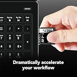 Lexar 256GB Professional 1667x SDXC Memory
