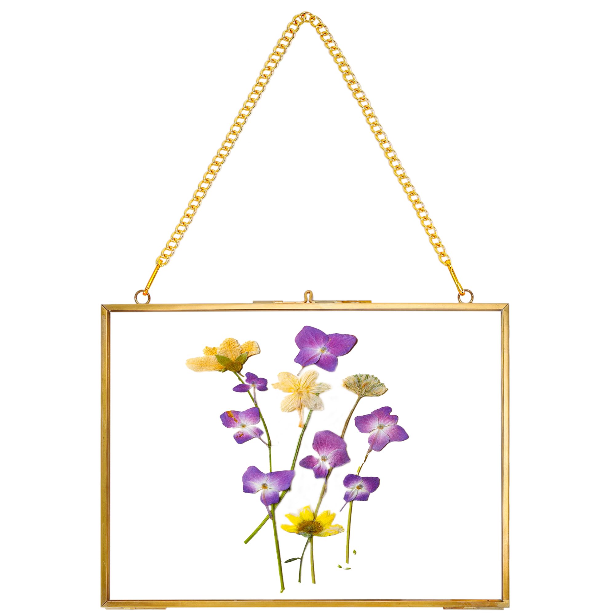 REDHUGO Hanging Pressed Flower Frame Handmade, Double Glass Picture Frame Floater frame Floating Frame for Pressed Flowers Home Wall Artwork, Rectangle Horizontal 6×8 inches, Gold