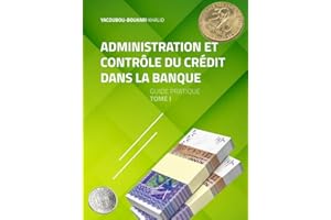ADMINISTRATION ET CONTROLE DU CREDIT DANS LA BANQUE (Guide Pratique t. 1) (French Edition)