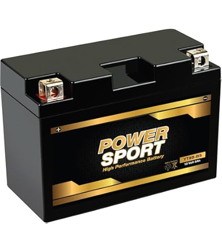 Amazon.com: Yuasa YUAM629B4 YT9B-BS Battery, Multi-Colored