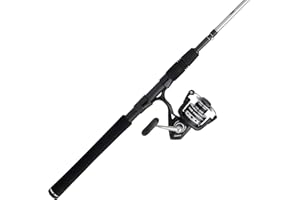PENN Pursuit III & Pursuit IV Spinning Reel and Fishing Rod Combo