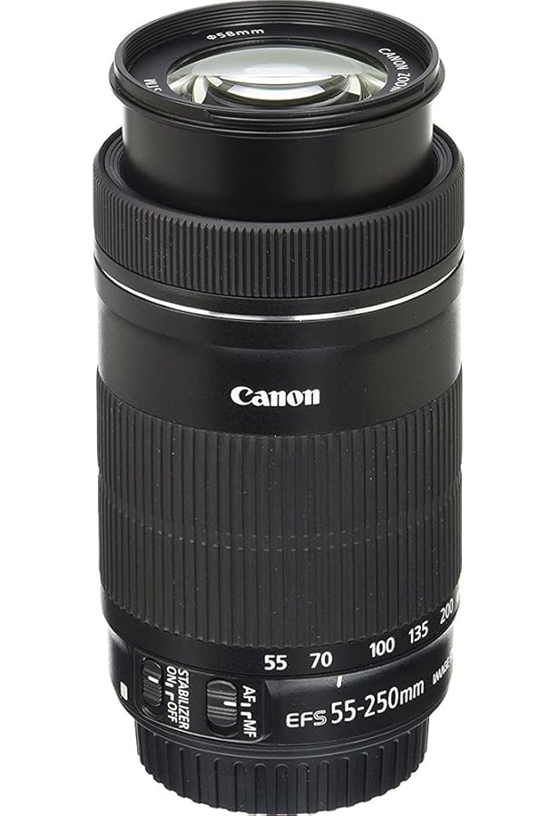 Amazon.com : Canon EF-S 10-18mm f/4.5-5.6 is STM Lens, Lens Only