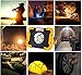 LED Work Light, Portable COB Flood Lights, Job Site Lighting,Builtin Rechargeable Battery Power Bank, IP55 Waterproof Rate for Outdoor Camping,Hiking,Car Repairing and SOS Emergency Mode