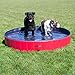 Frontpet XL Foldable Dog Pool - 60