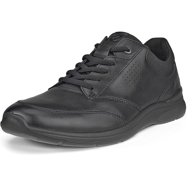 Amazon.com | ECCO Men's Street Tray Gore-TEX Waterprooof