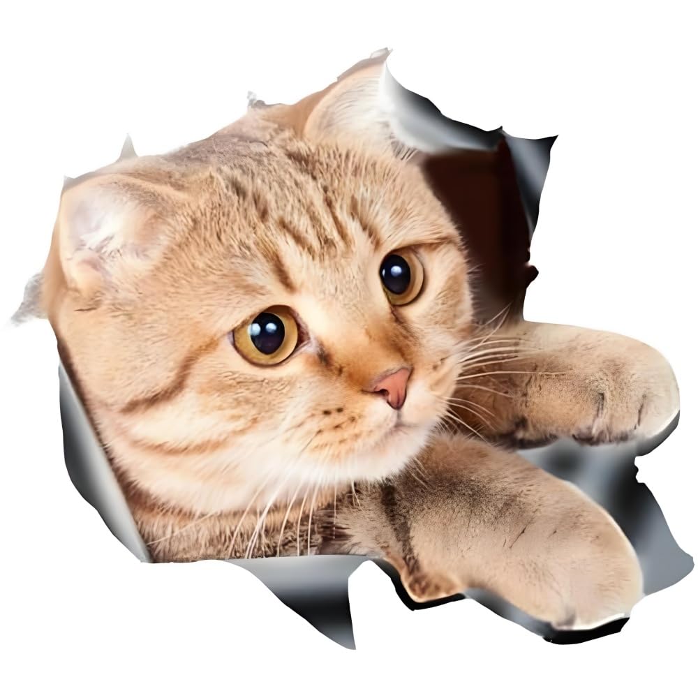 Cute 3D Cat Stickers - Removable for Wall, Car, Refrigerator, Suitable for Kitchen, Living Room and Bedroom
