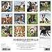 Just American Pit Bull Terriers 2019 Wall Calendar (Dog Breed Calendar)