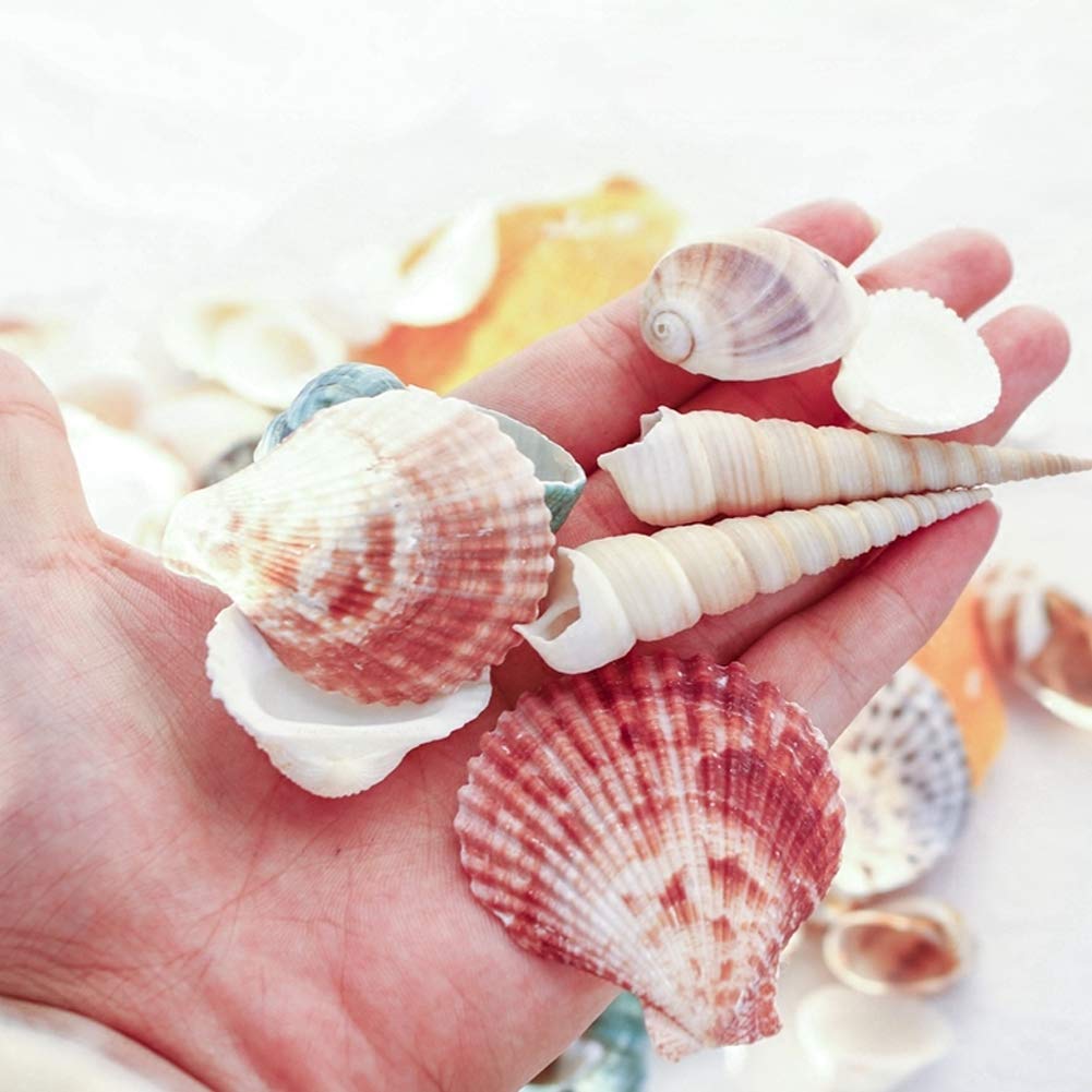 DIY Arts Crafts Kit, Sand Art Bottles Arts and Crafts Party Set for Kids, 20 Bottles, 10 Bags of Sand, Beach Seashells