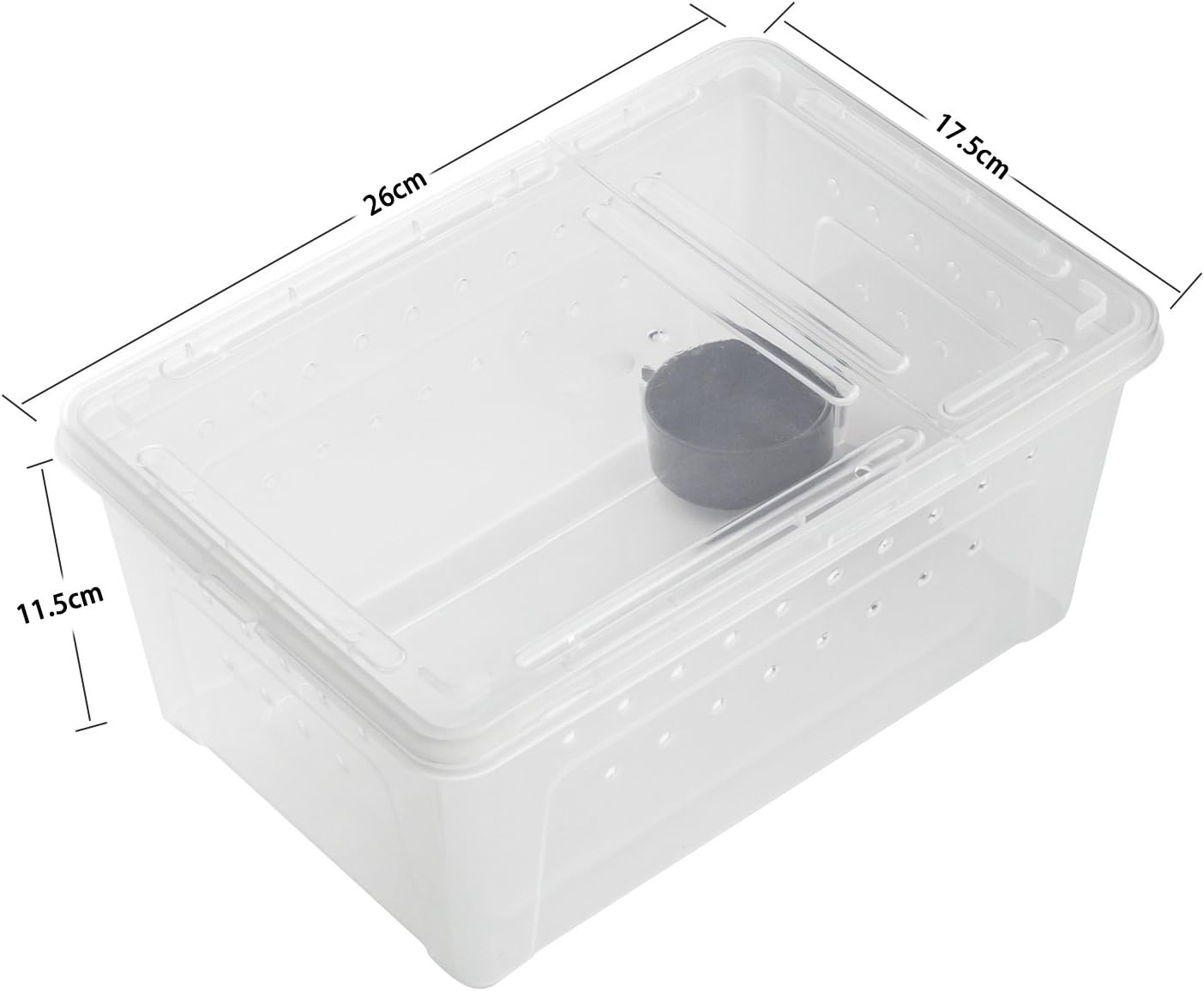 portable reptile carrier