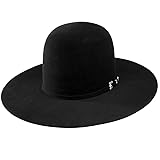 RESISTOL Men's 20X Felt Cowboy Hat Black 7