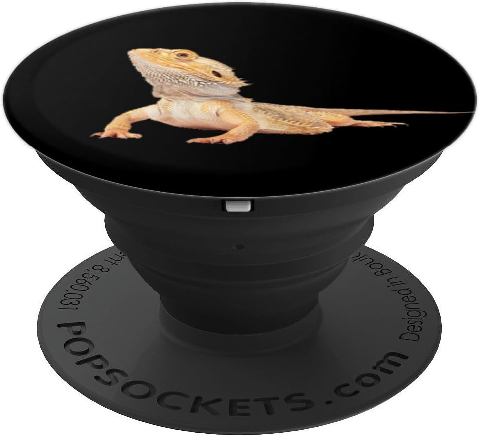 Bearded Dragon Reptile Accessory