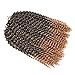 Refined Hair passion twist hair 12inch 6packs/lot Ombre Malibob Jerry Curly Twist Hair 22 Strands Synthetic Crochet Braids Freetress Braiding Hair Extensions (12 inch, T27)