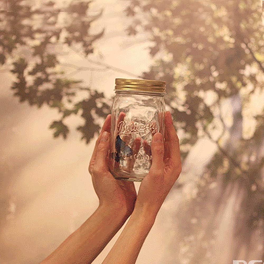 ZQION Electronic Butterfly in a Jar-Magic Tricks Close Up Magic Props Stage Illusions Magician Accessories - Image 5