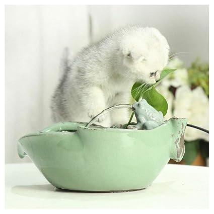 Fontaine à Eau Chat Céramique Pour 2019 Faire Une Affaire