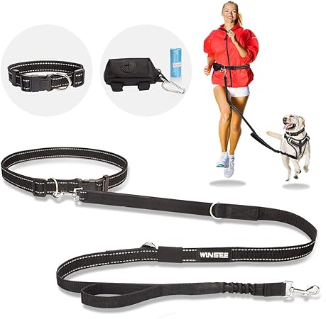 dog leash with waist belt