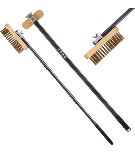 Brosse à Nettoyer Four à Pizza Avec Grattoir - Long Manche En Bois (57.5 Cm), Tête En Acier Inoxydable | Pour Pierre à Pizza, Grill, Barbecue