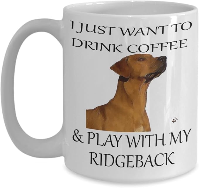 the cat doctor valencia