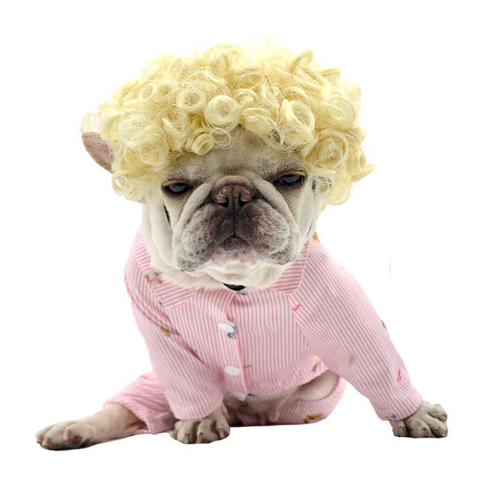Funny Dog and Cat Role Play Wig for Halloween, Christmas, Parties, Festivals - Small, Medium and Large Pets (Golden Hair)