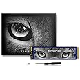 MOVE SPEED HB7450 1TB SSD for PS5 with Heatsink, PCIe 4.0 NVMe M.2 Internal Solid State Drive - Up to 7450MB/s, 3D NAND Storage Expansion Compatible with PS5, Desktops and Laptops