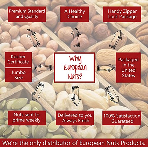 Pecans Halves, Fresh Premium Pecans Raw Halves Unsalted and No Shell - European Nuts (1 lb Resalable Bag Pecans Halves)