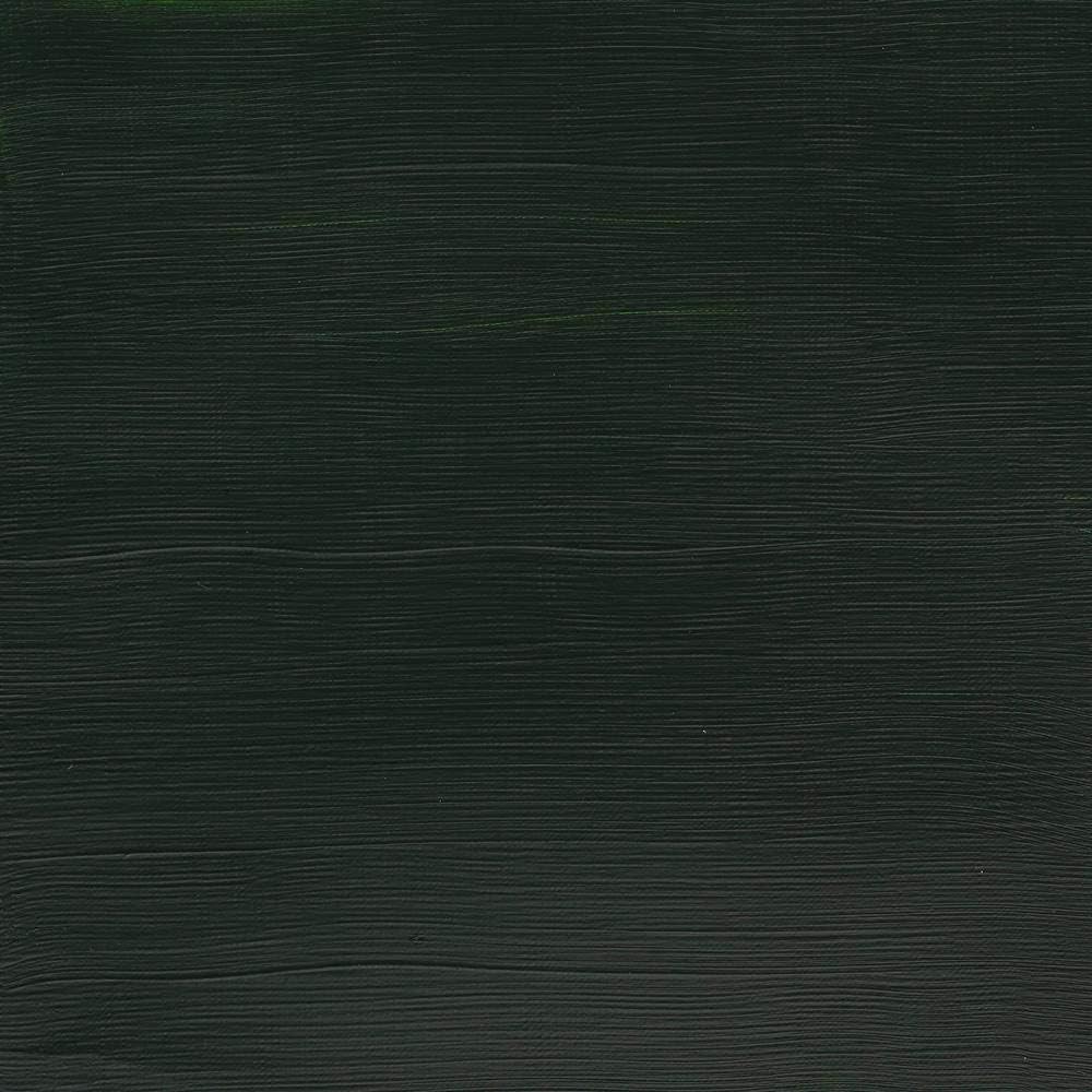 Winsor & Newton 250ml Bottle Galeria Acrylic Colour with Nozzle Cap - Hookers Green, 250 ml - Image 3