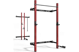 Mikolo 2" x 2" Folding Wall Mounted Squat Rack, 1000 Pounds Capacity Power Rack with Pull Up Bar, J Hooks and Other Attachments, Space-Saving Home Gym