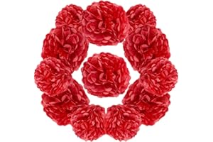 Yosawa 12PCS Red Tissue Hanging Paper Pom Poms 10 in and 12in Tissue Paper Pom Poms DIY Decorative Flowers Ball for Birthday 