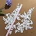 2 Pcs Raw White Flower Lace Patches for Wedding Dress DIY Clothing Flower Applique Collar Material