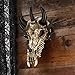 Design Toscano PD203 Manchester's Dragon Bones Sculptural Skull Wall Trophy,full color