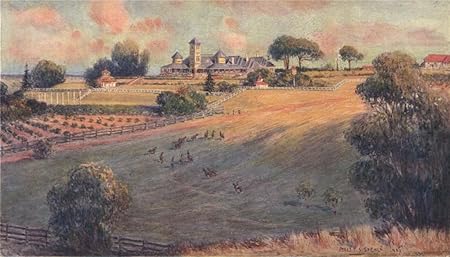 Amazon Com Belmont Park An Australian Station Homestead By
