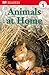 DK Readers L1: Animals at Home (DK Readers Level 1)