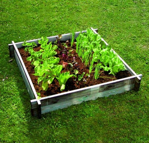 Selections - Arriate elevado (madera): Amazon.es: Jardín
