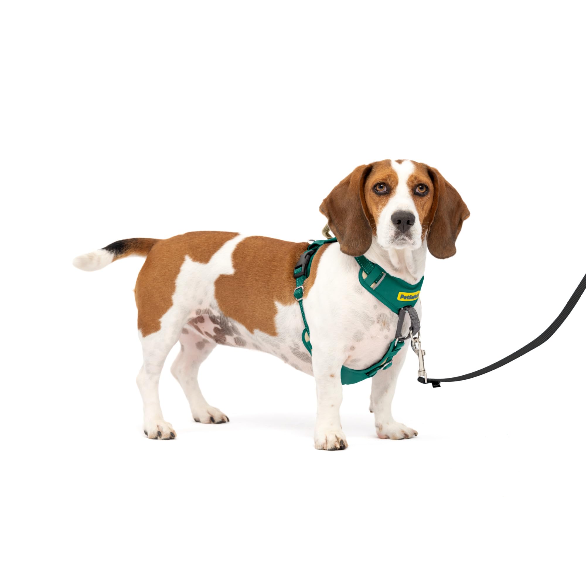 Photo 1 of PetSafe Easy Walk Comfort No-Pull Dog Harness Full-Body Padding - Better Walks on The First Use - 5 Points of Adjustment Small/Medium, Green