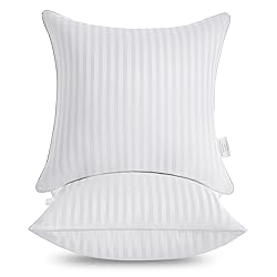 Oubonun 26 x 26 Throw Pillow Inserts, Firm and