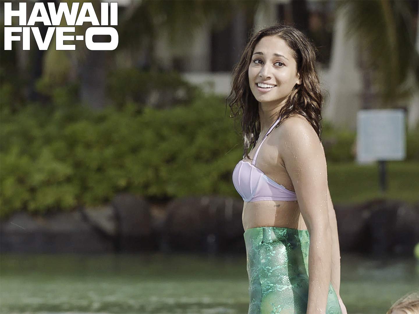 amazon prime video hawaii five o