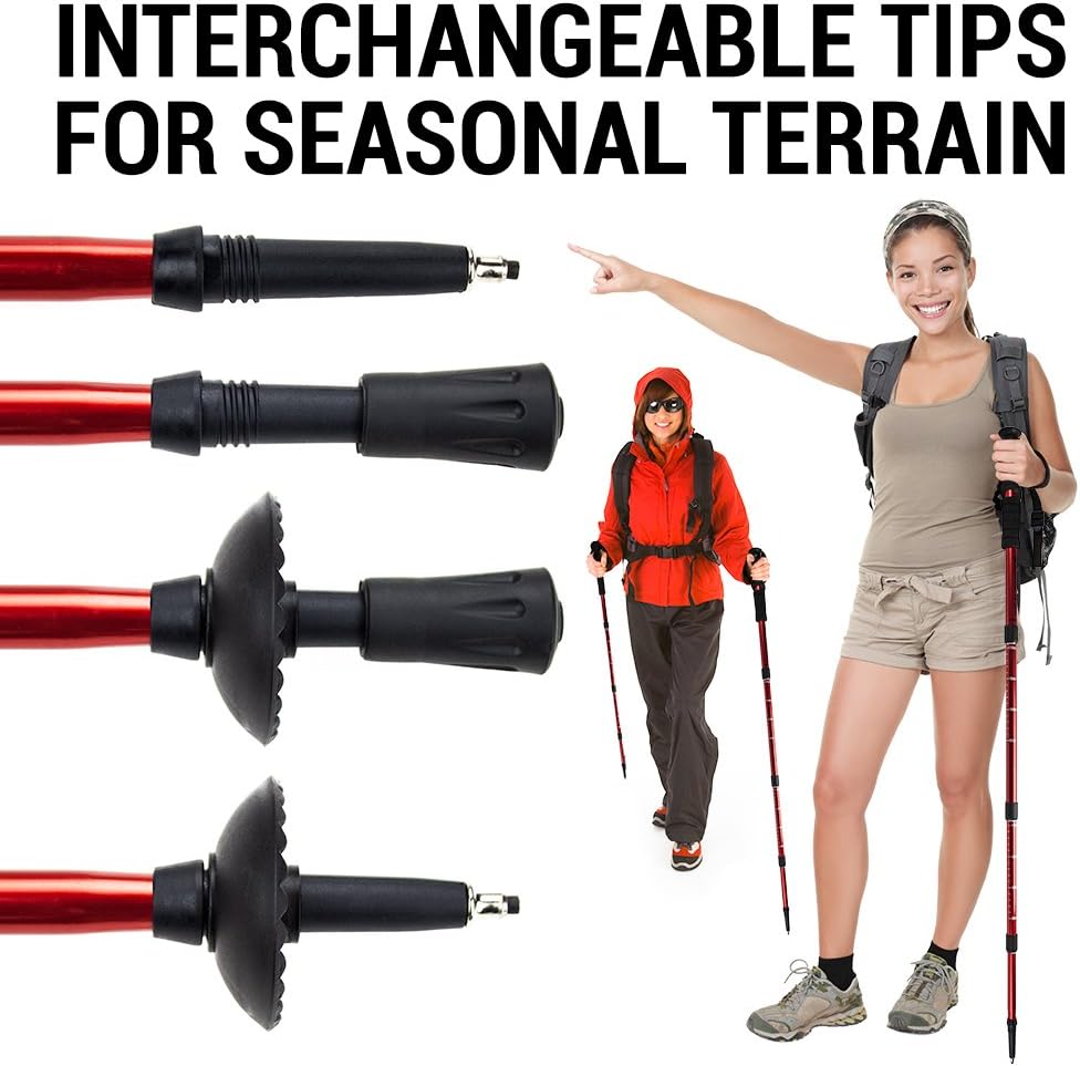 Crown Sporting Goods Shock-Resistant Adjustable Trekking Pole and Hiking Staff (Set of 2), Blue, 43-Inch : Sports & Outdoors