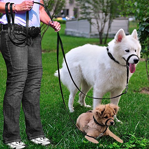 Dog Head Collar, Adjustable and Padded, NoPull Training Tool for Dogs